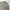 Disney Vintage Sweatshirt Pria gray photo 4
