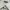 Givenchy Vintage Luxury Casual shirt Pria white photo 6