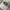 Hard Rock Cafe Vintage Streetwear Hat Pria tan photo 2