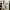 Converse Streetwear Casual Sneakers Pria multicolor white photo 5