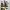 Converse Streetwear Casual Sneakers Wanita white black photo 2