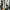Converse Streetwear Casual Sneakers Wanita white black photo 7