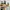 Onitsuka Tiger Streetwear Sportswear Sneakers Pria multicolor photo 4