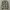 Levi's Y2K Casual Casual shirt Pria white black photo 1