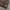 Luxury Minimalist Wallet Pria brown photo 4