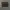 Luxury Minimalist Wallet Pria brown photo 5