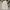 Streetwear Y2K Casual pants Pria tan cream photo 1