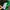Adidas Casual Sweatshirt Pria green black photo 5