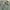 L.L.Bean Y2K Casual Casual shirt Pria green photo 2