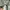 L.L.Bean Y2K Casual Casual shirt Pria green photo 3