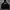 Thrasher Y2K Skater Hoody Pria black photo 1