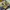 New Balance Casual Sneakers Pria yellow photo 3