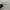 Oakley Vintage Y2K Glass Pria white black photo 6