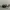 Oakley Vintage Y2K Glass Pria white black photo 2