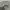 Oakley Vintage Y2K Glass Pria white black photo 4