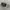 Oakley Vintage Y2K Glass Pria white black photo 8