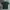 Carhartt Vintage Streetwear T-shirt Pria Green