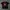 Vintage Y2K T-shirt Pria red black photo 1