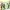 Minimalist Bags & purse Wanita green photo 5