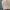 Carhartt Vintage Streetwear Bomber jacket Pria tan photo 4