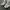 Converse Y2K Grunge Sneakers Pria white photo 2