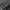 Y2K Grunge Scarf Pria white black photo 2