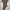 Semantic Design Y2K Goth Shirt Wanita multicolor photo 1