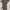 Semantic Design Y2K Goth Shirt Wanita multicolor photo 4