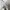 Vintage Y2K T-shirt Pria white photo 7