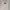 Vintage Y2K T-shirt Pria white photo 3
