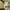 Uniform Bridge Streetwear Y2K Casual pants Pria tan cream photo 6