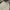 Uniform Bridge Streetwear Y2K Casual pants Pria tan cream photo 3