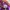 New Balance Streetwear Casual Sneakers Wanita purple pink photo 6