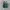 New Balance Streetwear Casual Sneakers Wanita white green photo 5