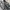 Asics Streetwear Casual Sneakers Pria black gray photo 2