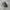 Asics Streetwear Casual Sneakers Pria black gray photo 1