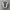 Asics Streetwear Casual Sneakers Pria white black photo 1