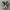 Converse Indie Casual Sneakers Pria white black photo 3
