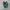 Adidas Streetwear Casual Sneakers Pria green red photo 3