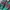 Adidas Streetwear Casual Sneakers Pria green red photo 2