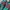 Adidas Streetwear Casual Sneakers Pria Green Red