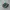 Adidas Streetwear Casual Sneakers Pria Green Red