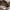 Casual Handbag Wanita brown photo 3