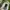 Balenciaga Streetwear Y2K Sneakers Pria white photo 7