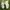 Balenciaga Streetwear Y2K Sneakers Pria white photo 1