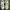 Balenciaga Streetwear Y2K Sneakers Pria white photo 2