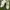 Balenciaga Streetwear Y2K Sneakers Pria white photo 4