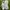 Balenciaga Streetwear Y2K Sneakers Pria white photo 3