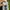 Balenciaga Streetwear Y2K Sneakers Pria white photo 6