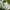 Balenciaga Streetwear Y2K Sneakers Pria white photo 5